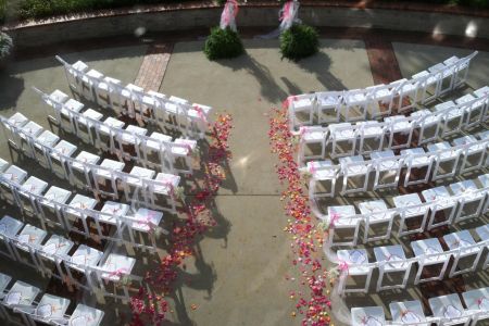 Wedding 5